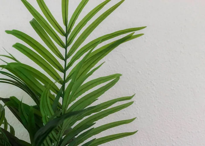 Amplio Y Comodo En Basurto Apartment Bilbao