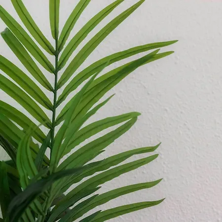 Amplio Y Comodo En Basurto דירה בילבאו